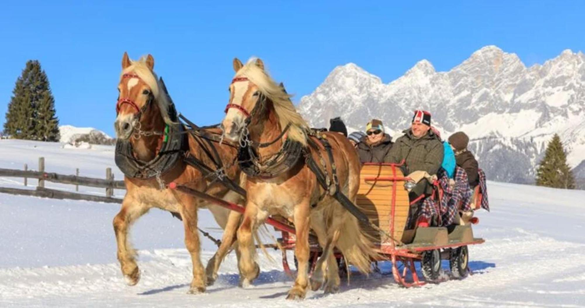 Appartements Naturnah Schladming Zewnętrze zdjęcie