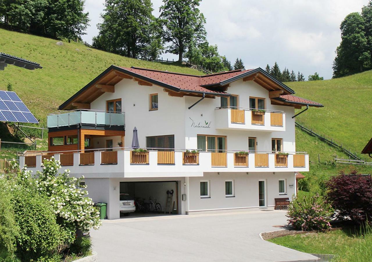 Appartements Naturnah Schladming Zewnętrze zdjęcie