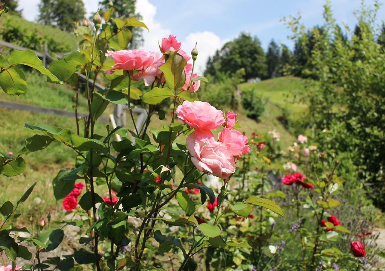 Appartements Naturnah Schladming Zewnętrze zdjęcie